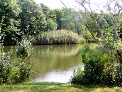 C canoe launch