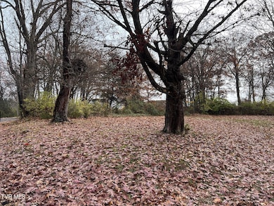 308 Branner St, Morristown, TN 37814 - photo 3