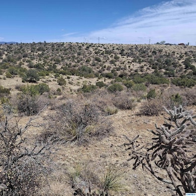 1112 Mountain View Rd, Silver City, NM 88061 - photo 3