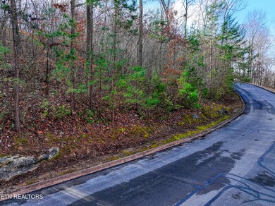 Lot 77 Shiloh Springs Rd, Rutledge, TN 37861 - photo 7
