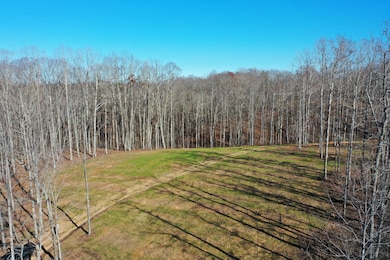 0 Bell Branch Rd unit RTC3054459, Nunnelly, TN 37137 - photo 5