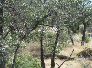 Walnut_Oaks-lots