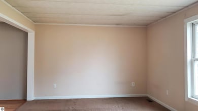 502 S Broad St, Harrison, MI 48625 - photo 3