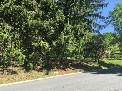 99999 Ballantree Dr, Asheville, NC 28803 - photo 4