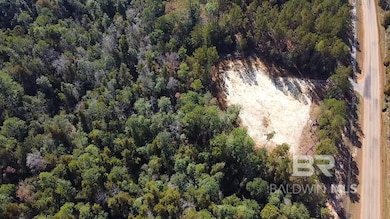 26464 County Road 87 unit BT Ph 2 Lot 2, Robertsdale, AL 36567 - photo 7