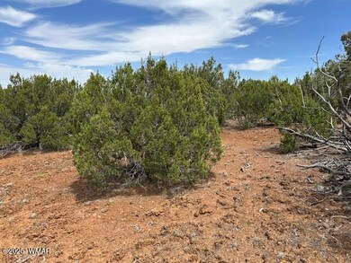 50 County Rd, Concho, AZ 85924 - photo 6