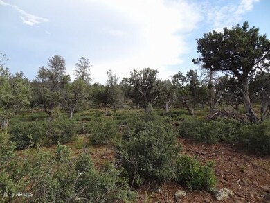 807 E Phoenix St unit 50, Payson, AZ 85541 - photo 7