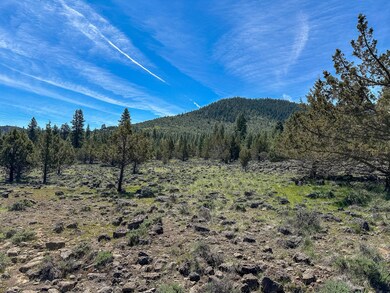 IMG_7227