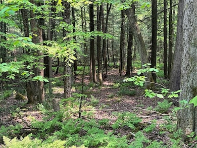 0 Spring Rd S, Ossian, NY 14437 - photo 7