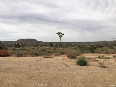 6650 La Contenta Rd, Yucca Valley, CA 92284 - photo 6