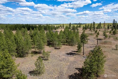 7 Lot Prairie Ln N, Creston, WA 99117 - photo 6