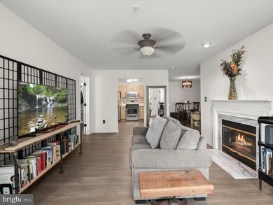 2203 Falls Gable Ln unit E, Baltimore, MD 21209 - photo 7