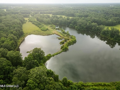 403 Mount Pleasant - Zachary Rd, Zachary, LA 70791 - photo 7