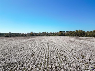 500 Joe Lawrence Rd, Ashburn, GA 31714 - photo 6