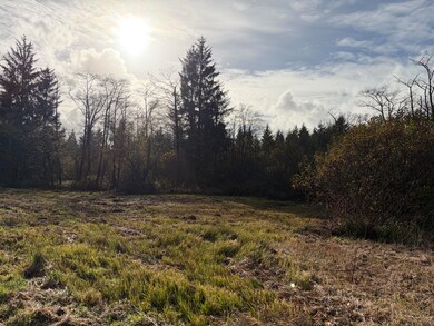 TL#2402 Alderbrook Rd, Tillamook, OR 97141 - photo 6