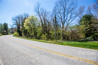 111 Carolina Village, Hendersonville, NC 28792 - photo 5