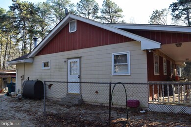 259 Otis Bog Rd, Little Egg Harbor Township, NJ 08087 - photo 5