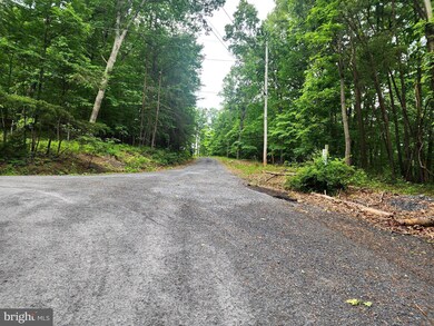 64 Brandy Rd, Front Royal, VA 22630 - photo 6