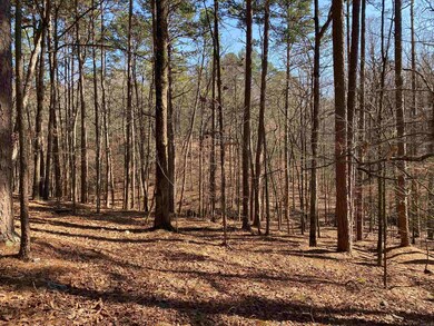 16 Hillside Trail, Mount Ida, AR 71957 - photo 4