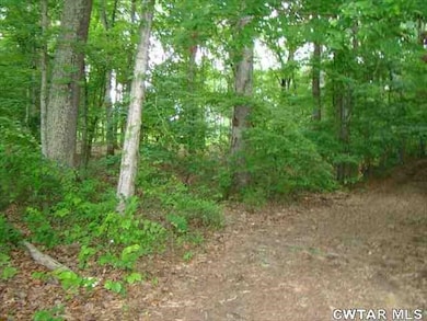 00 Brodies Landing Rd, Parsons, TN 38363 - photo 3