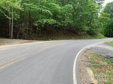 42.16 ACS Green River Cove Rd unit 42.162 AC., Saluda, NC 28726 - photo 2