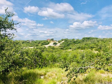 23215 Linwood Ridge, San Antonio, TX 78255 - photo 4