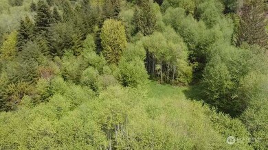 0 Germany Creek Rd unit NWM2032245, Longview, WA 98632 - photo 7