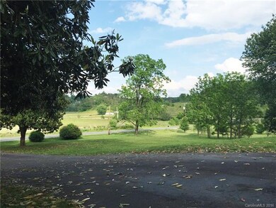 213 Old Newfound Rd, Leicester, NC 28748 - photo 3