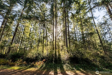 11324 Laurel Place, Anderson Island, WA 98303 - photo 2