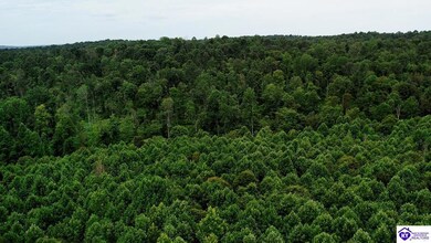 Tract 10 Cook Ln, Cromwell, KY 42333 - photo 4