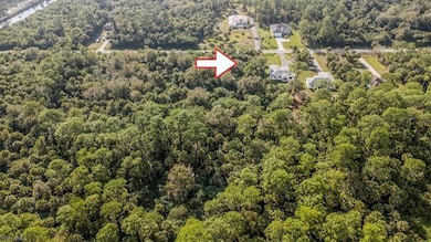 0 32nd Ave SE unit 225082220, Naples, FL 34117 - photo 5