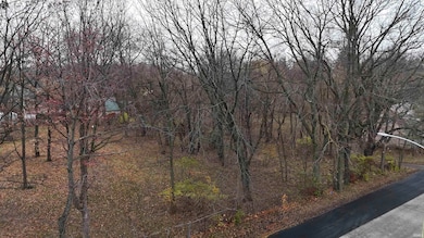 946 Sherman St, Logansport, IN 46947 - photo 3