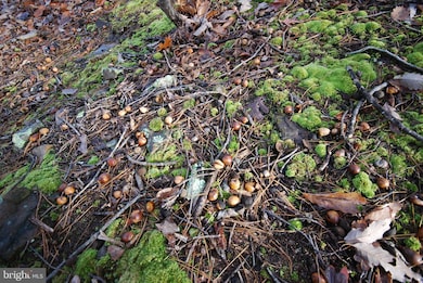 Lot 70 & 71 Mill Mountain Rd, Romney, WV 26757 - photo 6