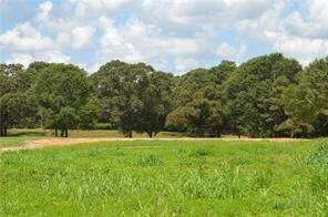 31227 Choctaw Hills Dr, Franklinton, LA 70438 - photo 5