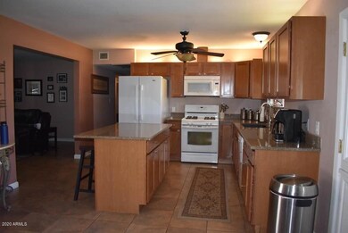 Hackamore8