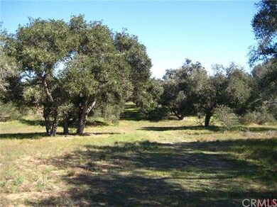 Beautiful Oaks