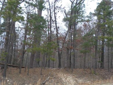 0 Haverigg Ln, Bella Vista, AR 72714 - photo 3