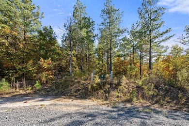 14 Gopher Wood Trail, Broken Bow, OK 74728 - photo 7