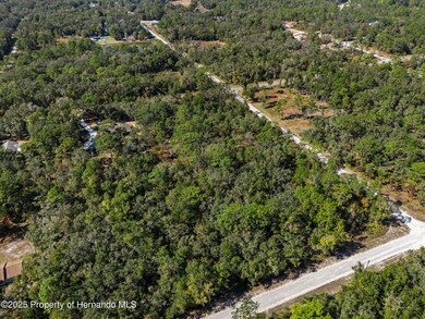 0 Norway St unit 2256792, Webster, FL 33597 - photo 4