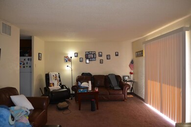 Photo16
