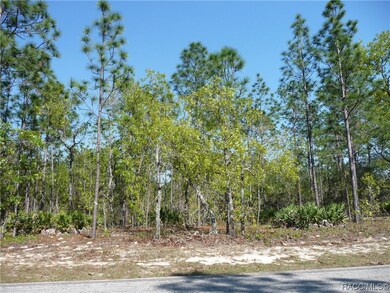 Straight on view of 97 Athenia Dr.