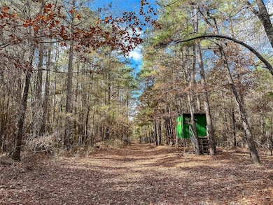 00 Cr 2235, Bagwell, TX 75412 - photo 3