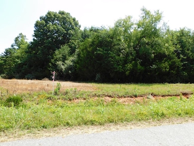 20.27 AC Lloyds Mill Rd, Clover, VA 24534 - photo 7