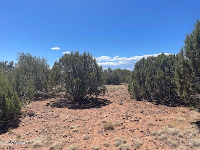 108 Colorado Ave, Concho, AZ 85924 - photo 2