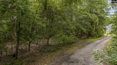 227 Will Dent Rd, Lexington, SC 29072 - photo 5