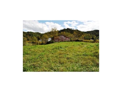 Pasture