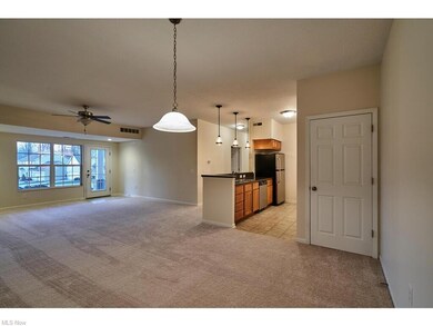 Open floor plan great room, dining and kitchen!