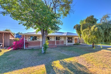 307 N Cholla-3