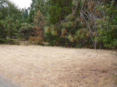 9584 W Evans Creek Rd, Rogue River, OR 97537 - photo 5