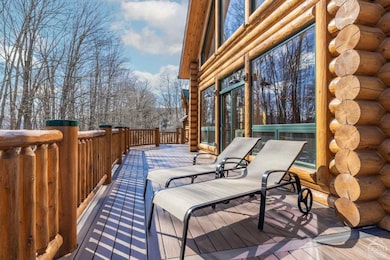 102 Thunderbird Terrace, Windham, NY 12496 - photo 5